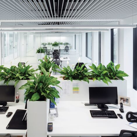ConceptSystem 59Pa Janelas e CW 50-HI Fachadas - Pivexin Technology Headquarter localizado em Babice, Polónia